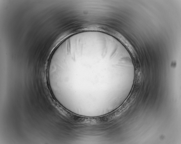 X0000103481002200810031539