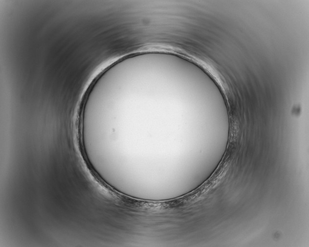 X0000103481003200810031539