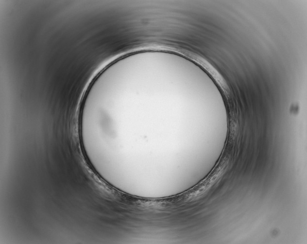 X0000103481004200810031539