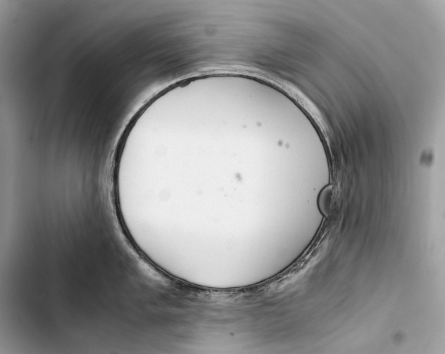 X0000103481005200810031539