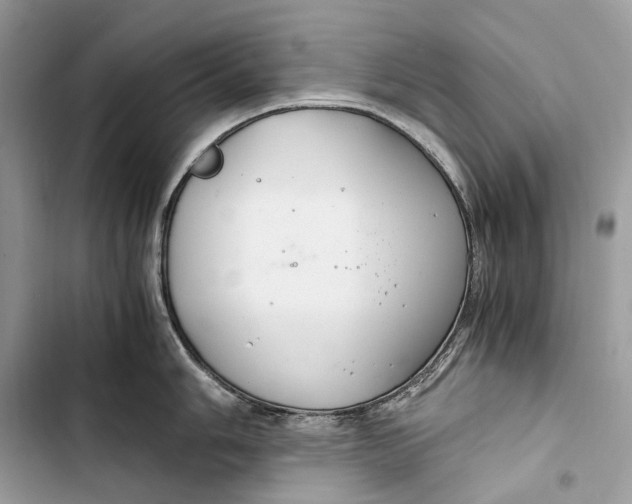 X0000103481006200810031539