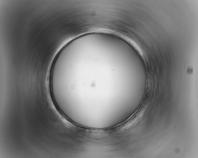 X0000103481007200810031539