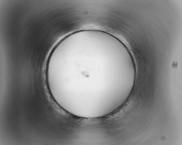 X0000103481008200810031539