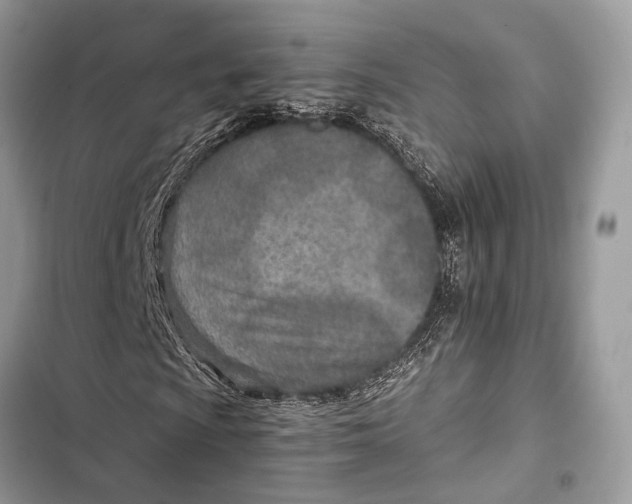 X0000103481009200810031538