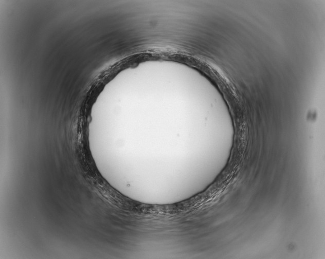 X0000103481016200810031538