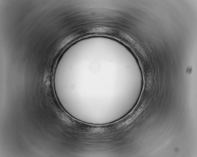 X0000103481017200810031538