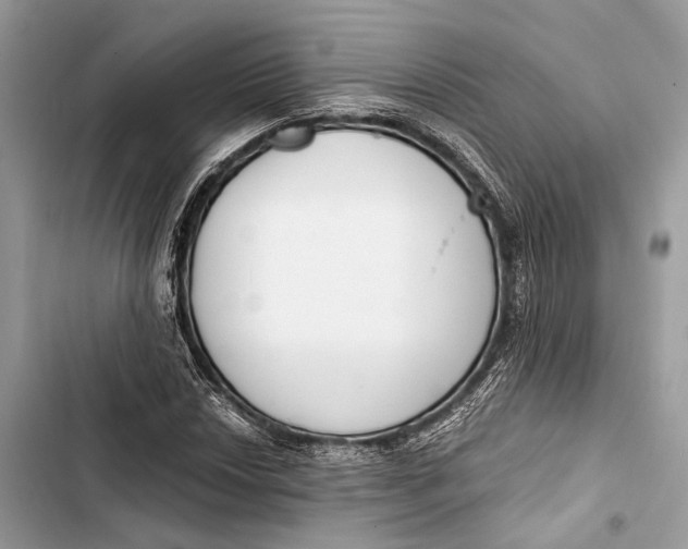 X0000103481018200810031538