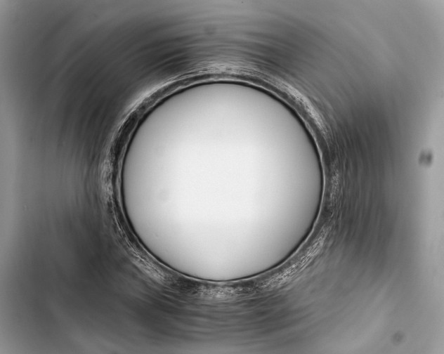 X0000103481019200810031538