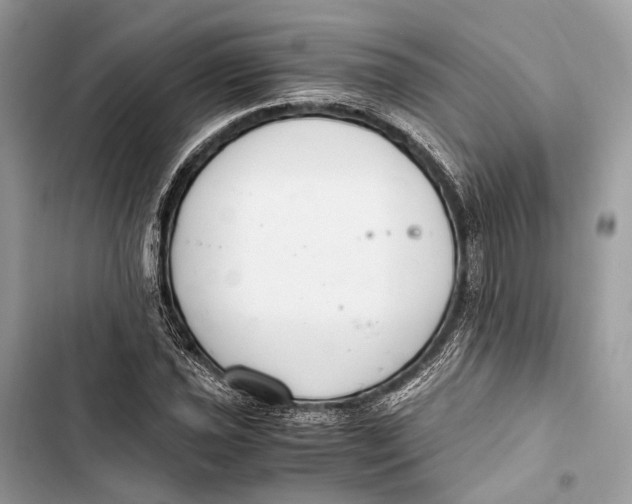 X0000103481021200810031538