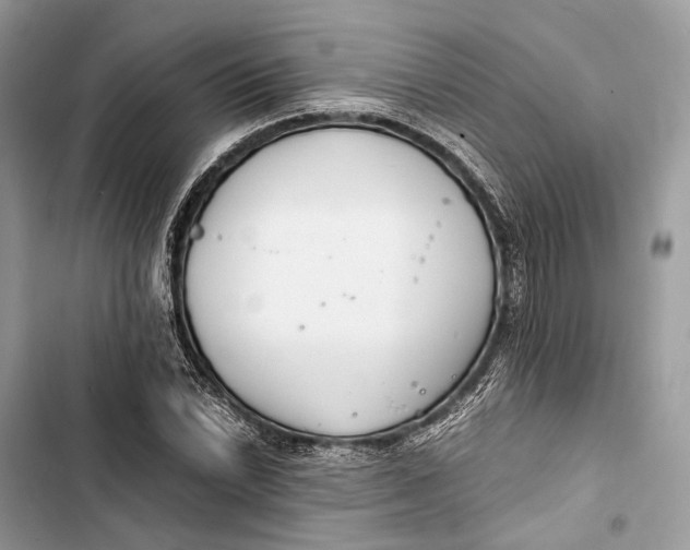 X0000103481022200810031538