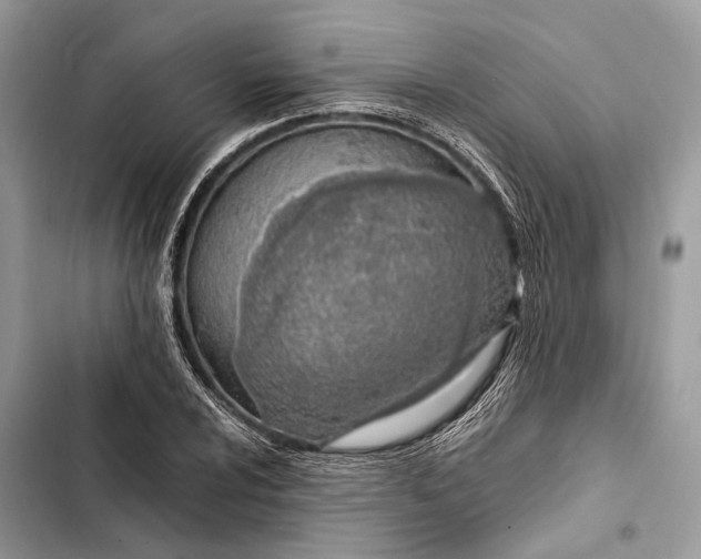 X0000103481024200810031538