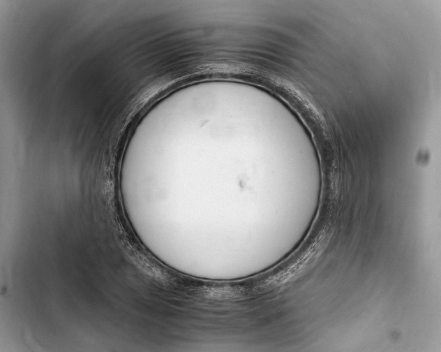 X0000103481025200810031538