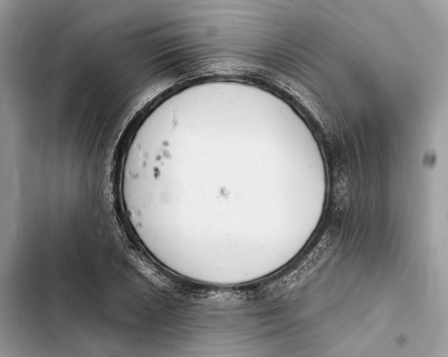 X0000103481026200810031538