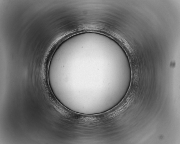 X0000103481027200810031538