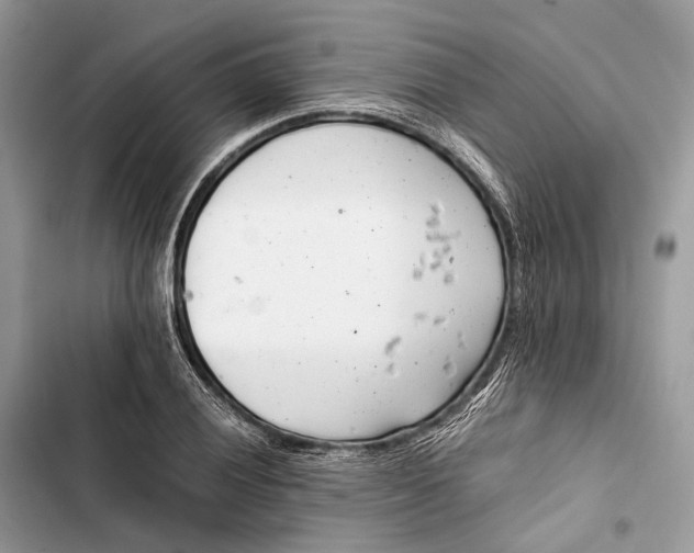 X0000103481028200810031538