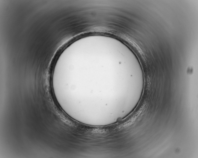 X0000103481029200810031538