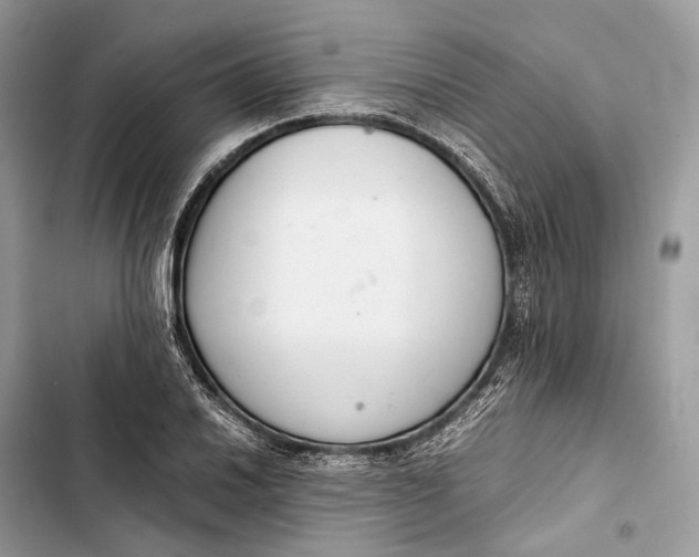 X0000103481030200810031538