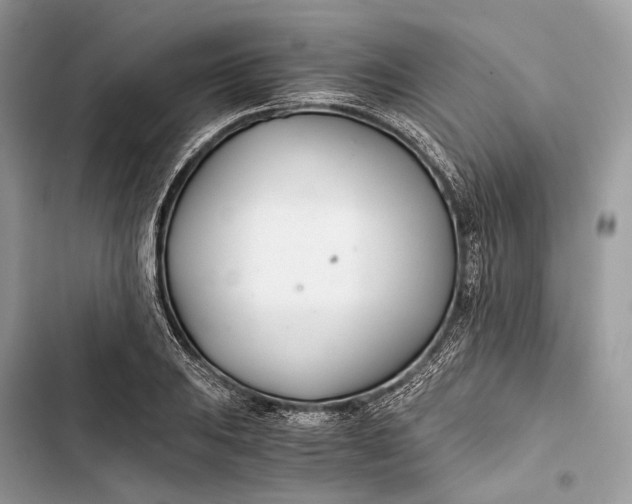 X0000103481031200810031538