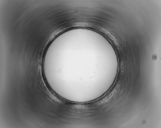 X0000103481033200810031538