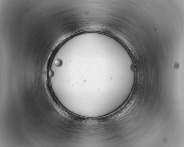 X0000103481034200810031538