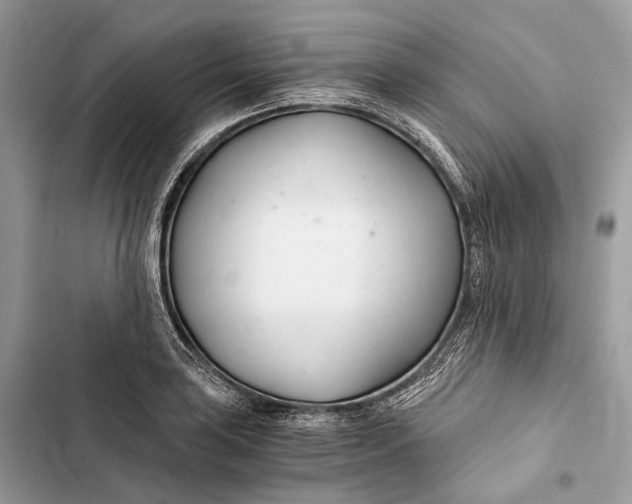 X0000103481035200810031538