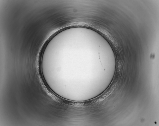 X0000103481038200810031538