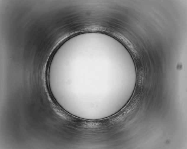 X0000103481039200810031538