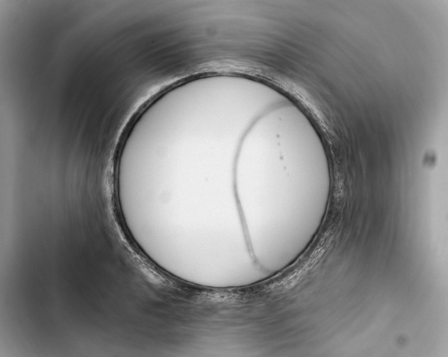 X0000103481040200810031538