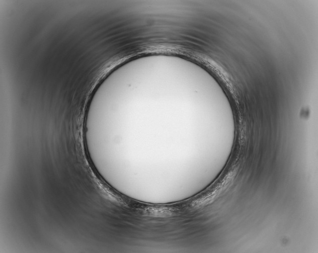 X0000103481041200810031538