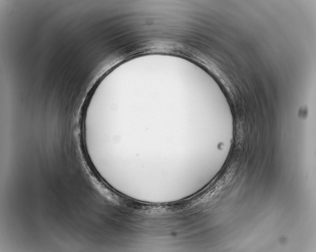 X0000103481042200810031538