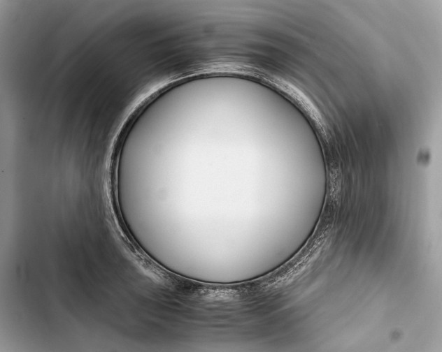 X0000103481043200810031538