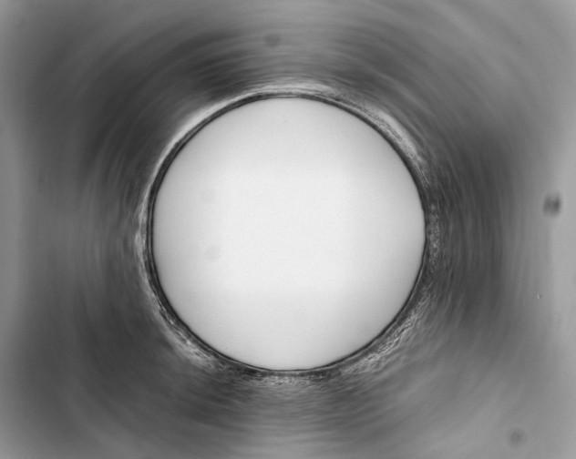 X0000103481044200810031538