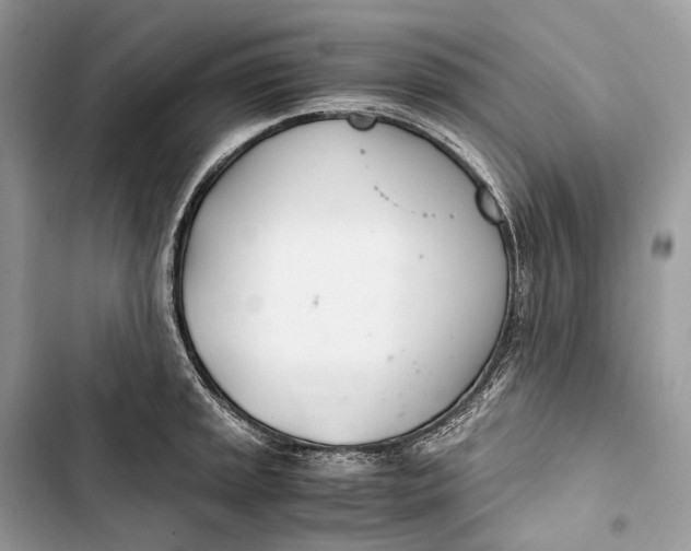 X0000103481045200810031538