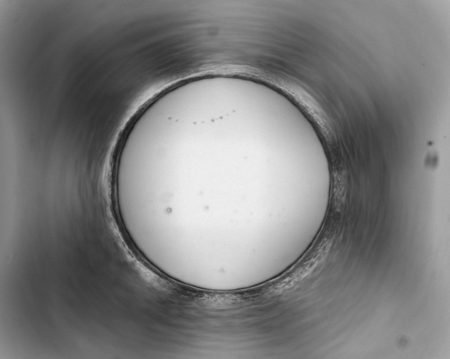 X0000103481046200810031538