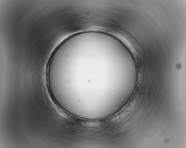 X0000103481047200810031538