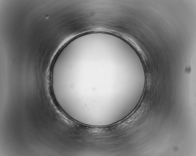 X0000103481048200810031539