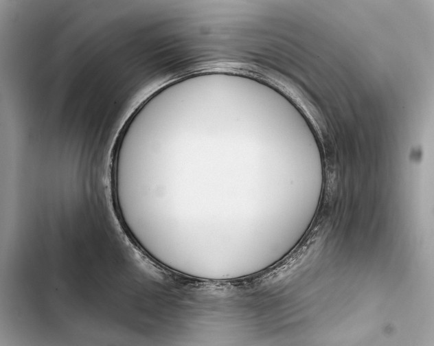 X0000103481050200810031539