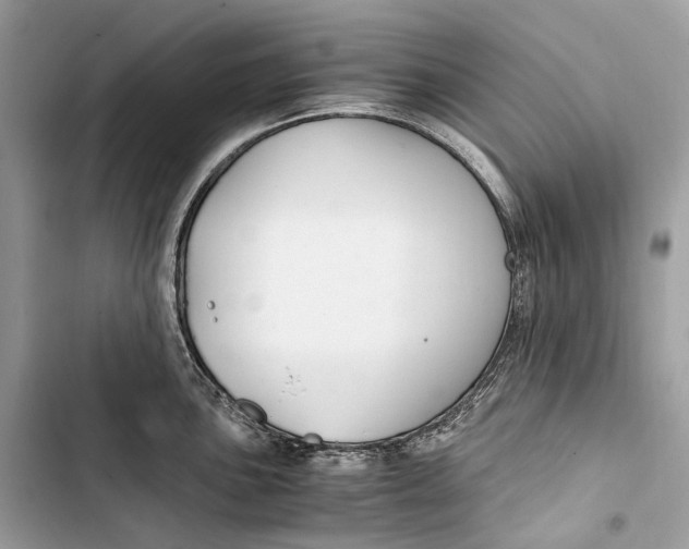 X0000103481051200810031539