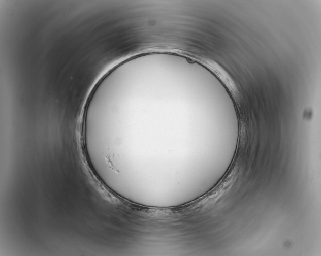 X0000103481052200810031539