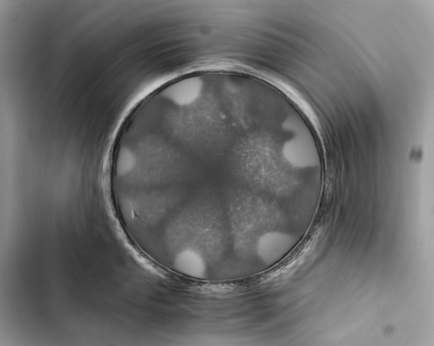 X0000103481053200810031539