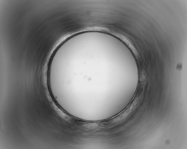 X0000103481054200810031539