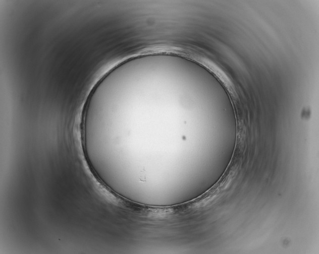 X0000103481055200810031539