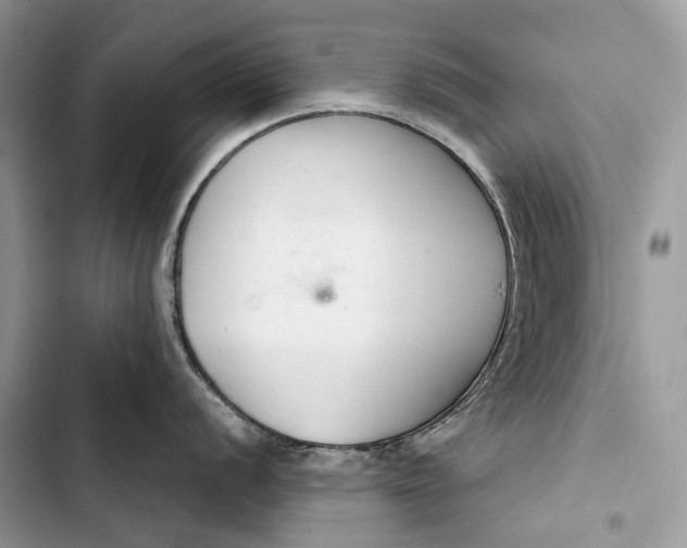 X0000103481056200810031539