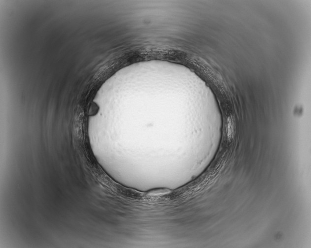 X0000103481059200810031538