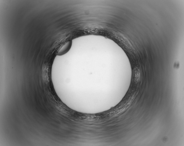 X0000103481060200810031538