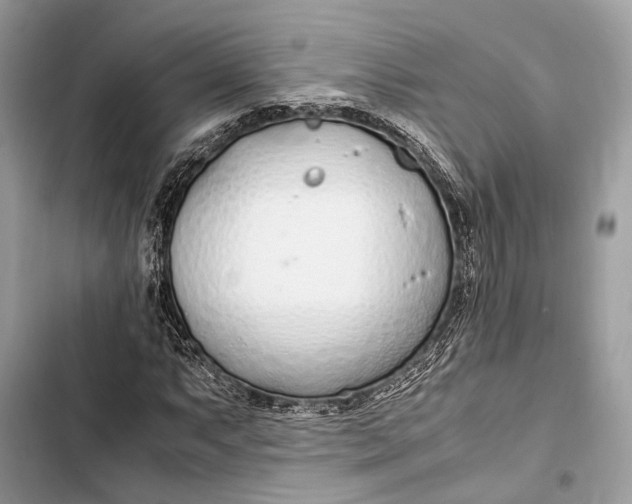 X0000103481063200810031538