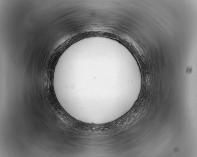 X0000103481064200810031538