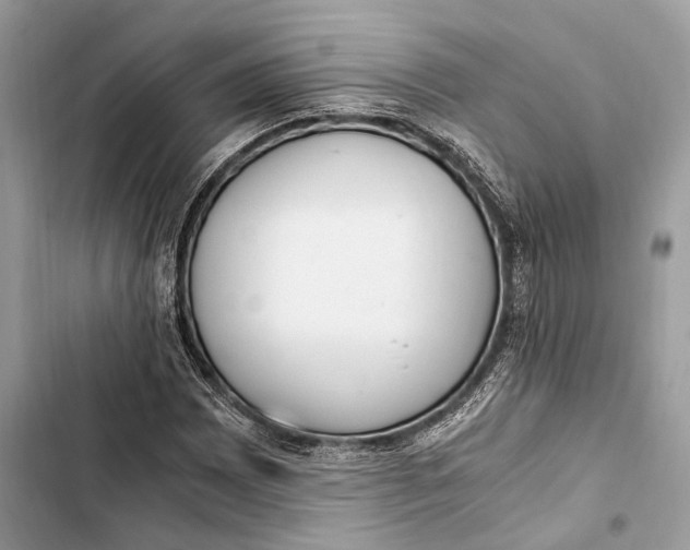 X0000103481065200810031538