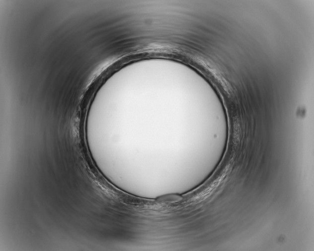 X0000103481066200810031538