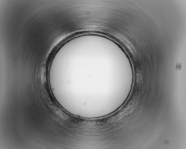 X0000103481069200810031538